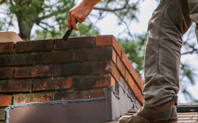 Chimney Inspections and Maintenance Lexington, SC