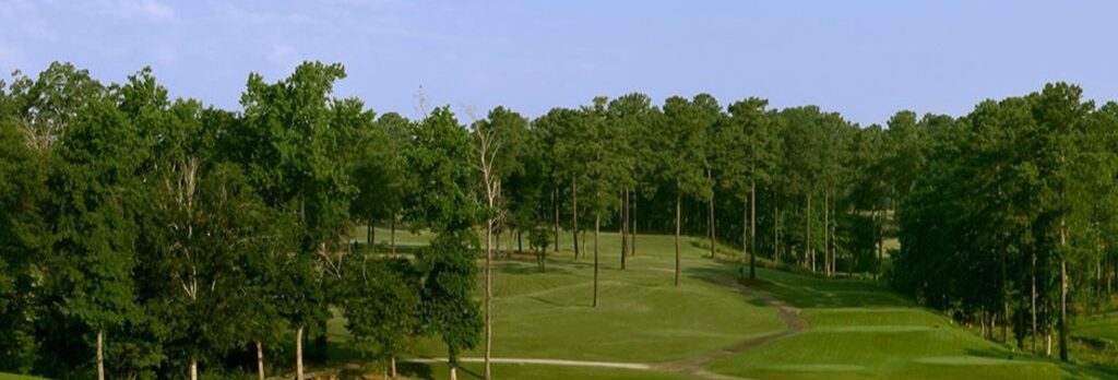 chimney services in Forest Acres, South Carolina