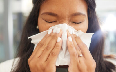 Chimney Cleaning in Augusta, GA